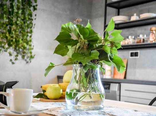 Atlas Chmur Apartament Білий Дунаєць Екстер'єр фото
