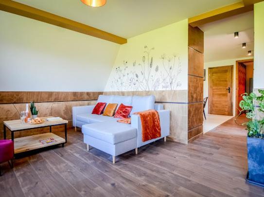 Atlas Chmur Apartament Білий Дунаєць Екстер'єр фото